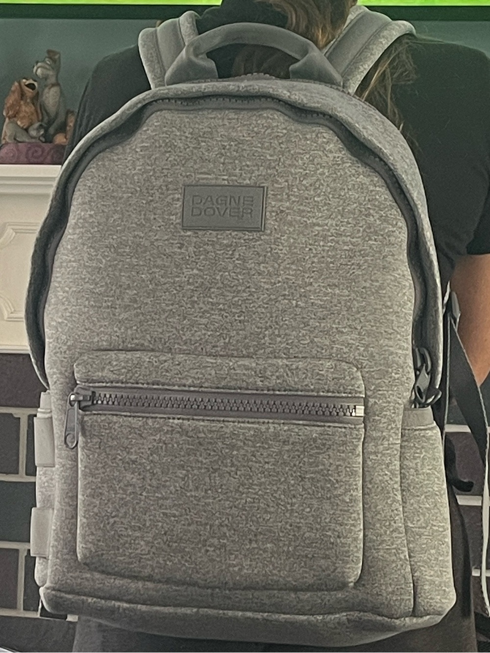 Dagne Dover Large Dakota Backpack-NWOT - Picture 8 of 16